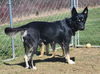 D122 Litter Luna, mom