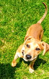 D123 Litter Wendy