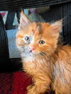 C282 litter Freya