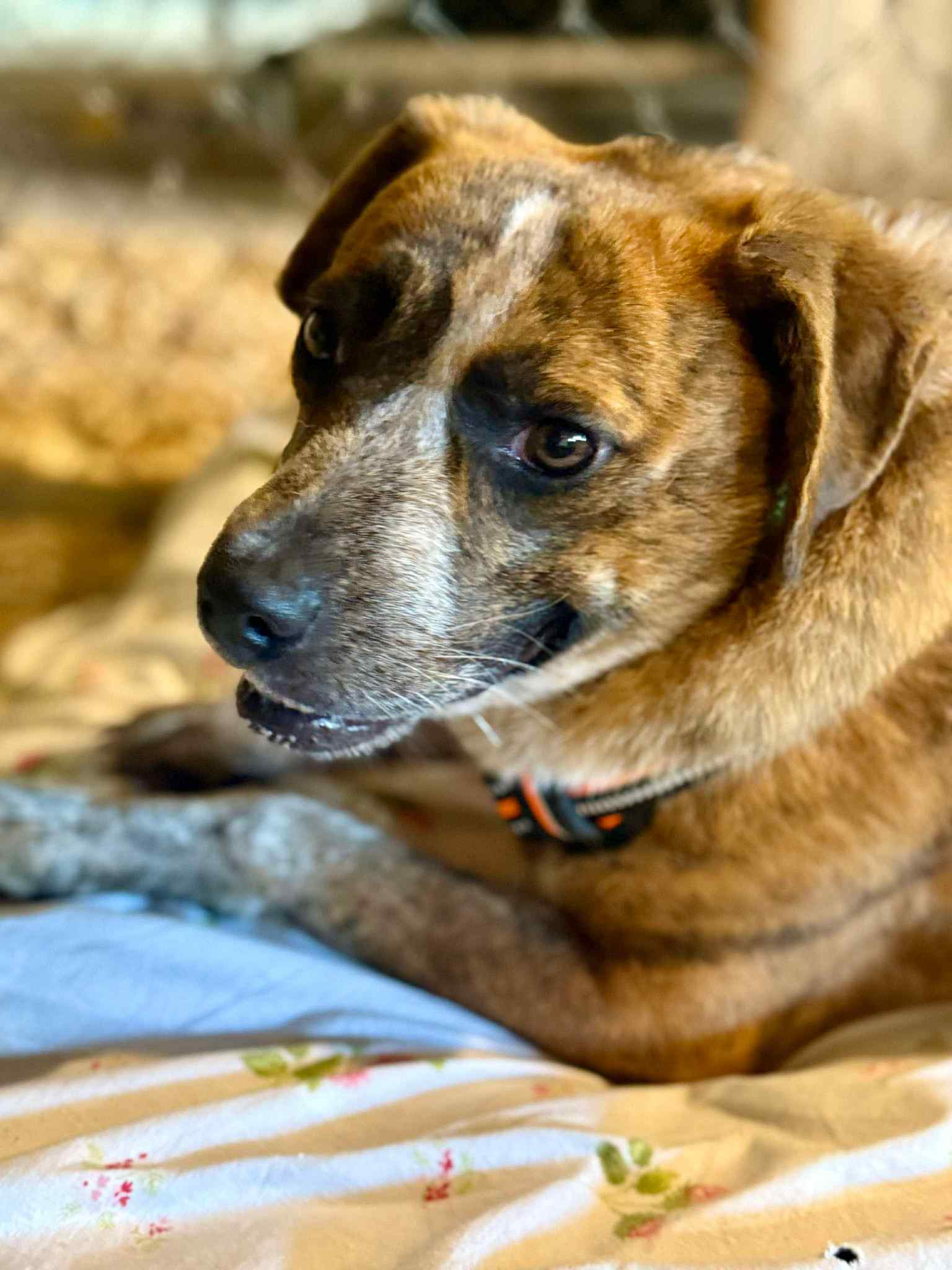 Jenny image 2
