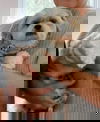 Zipper