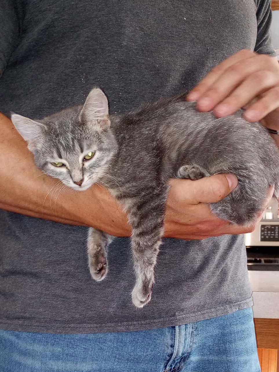 C291 Litter Sally (ADOPTED) Image