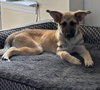Heidi