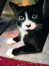 C292 Litter Bootsy (Mother)