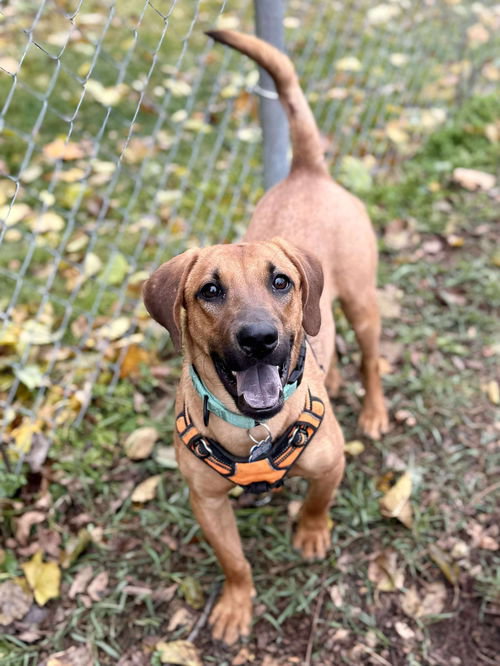 D127 Litter Wednesday Image