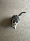 Mary Lou - Photo 2