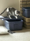Mary Lou - Photo 3