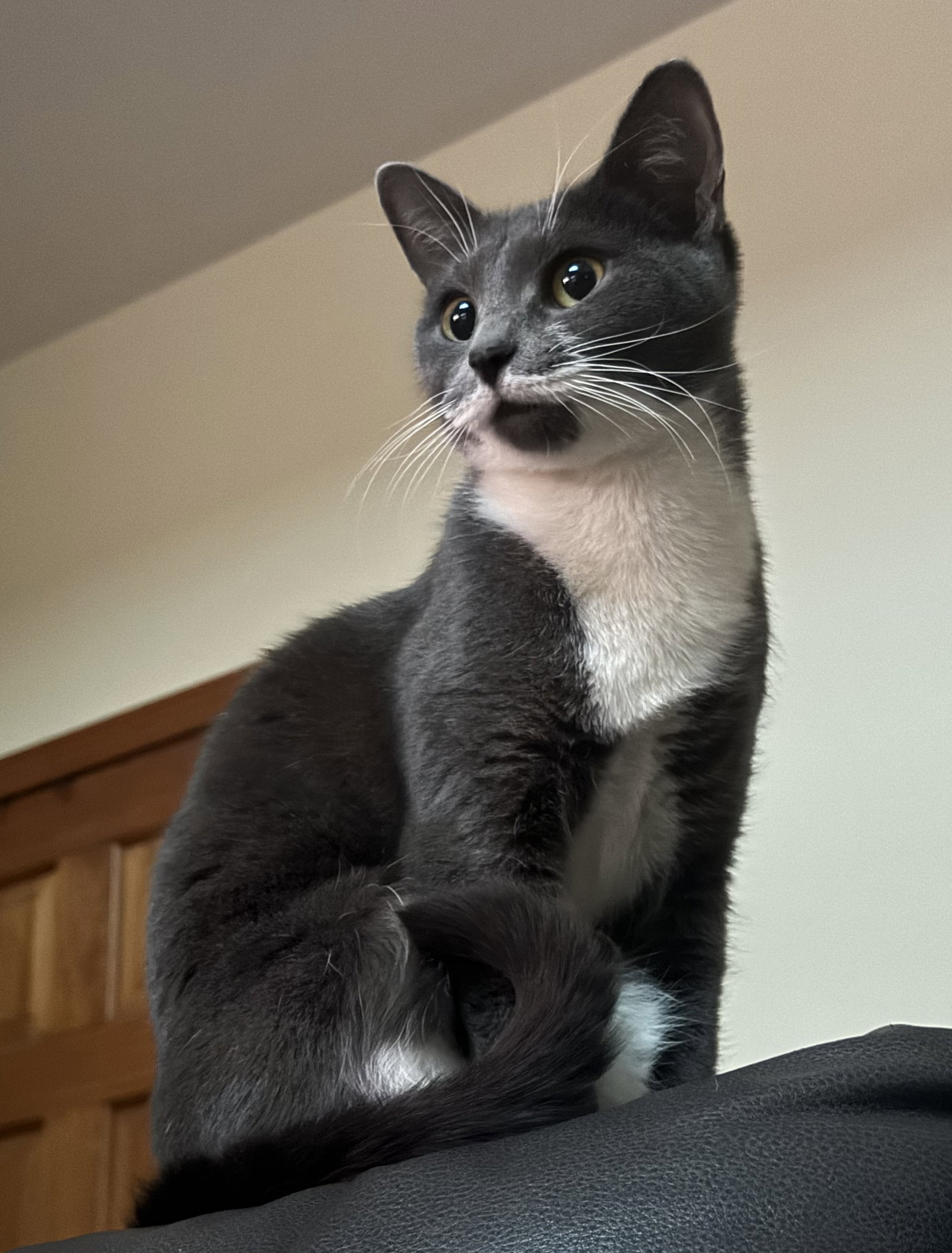 Mama Milkstache Image