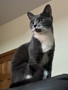 Mama Milkstache