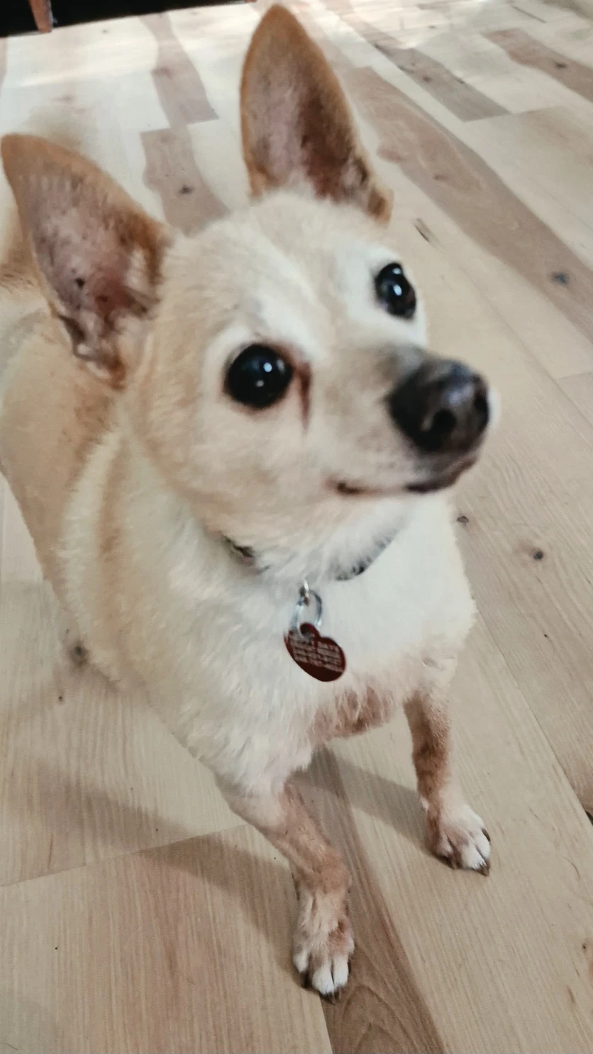Tito