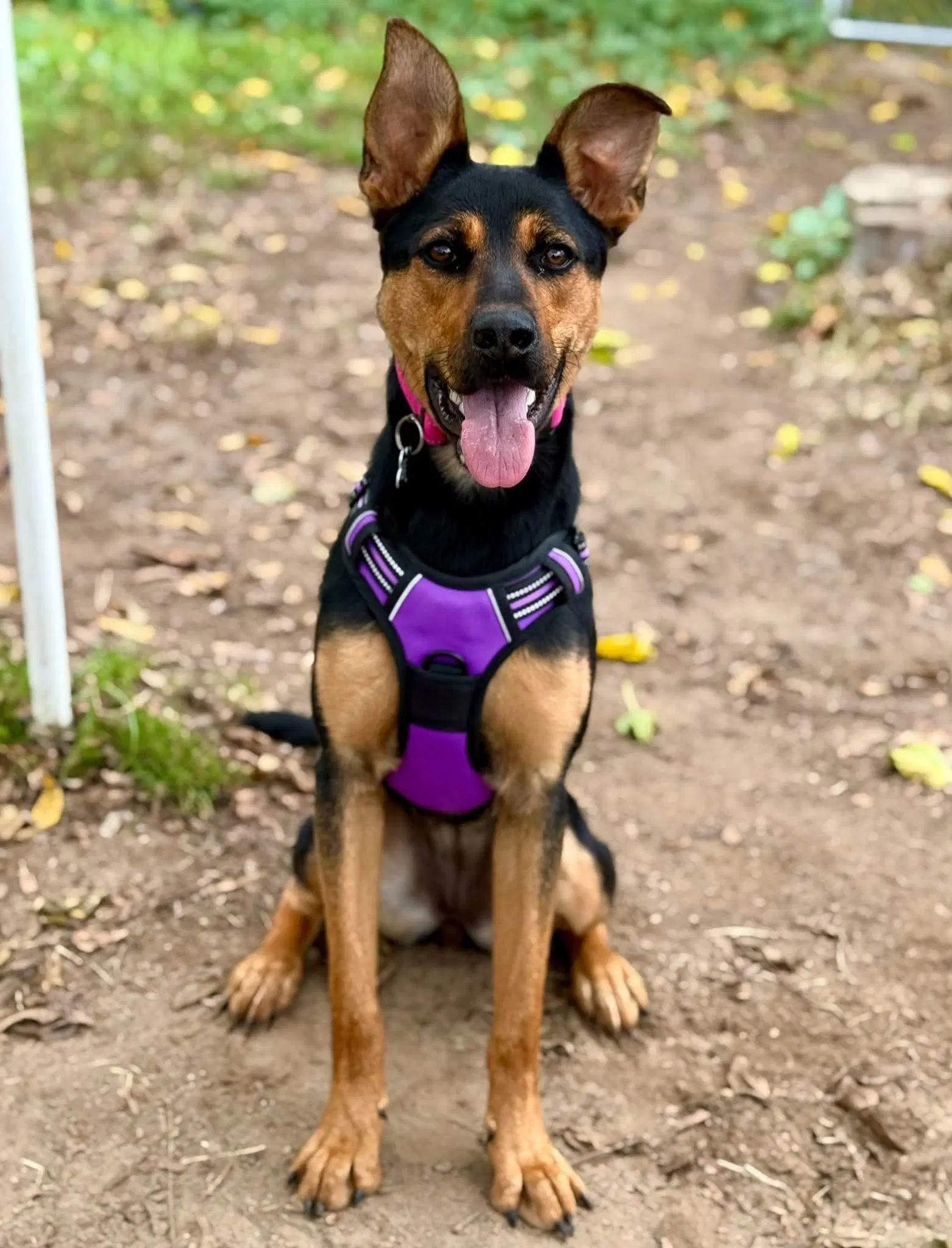 Winnie image 2
