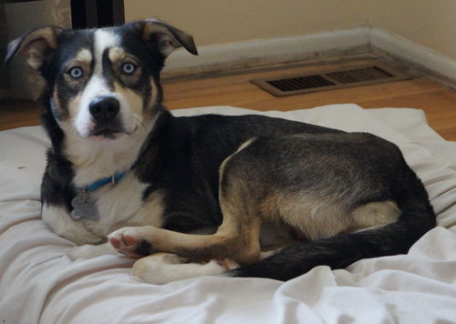 Azure-ADOPTED
