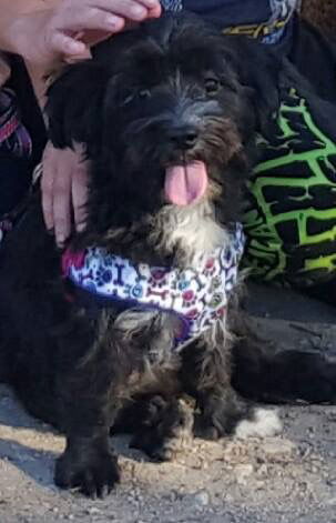Maggie