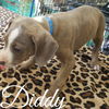 Diddy Jones