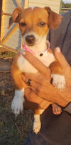 Ruby
