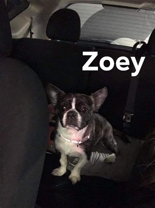 Zoey