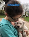 Snowball