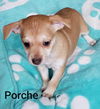 Porche