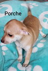 Porche