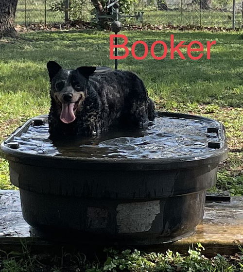 Booker