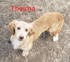 Thelma