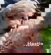 gd Hestia
