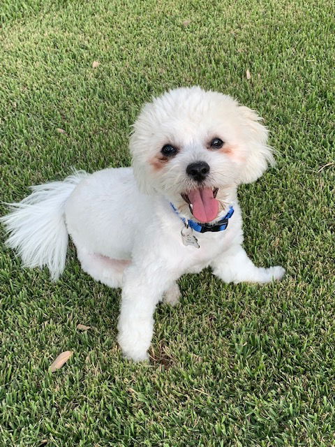 Milo