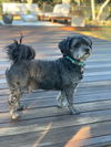 Duffy (Smokey)