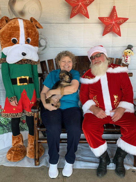 Heidi 2019