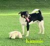 RT Kimmie