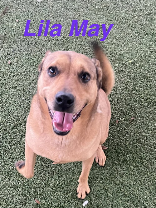 Lila Mae