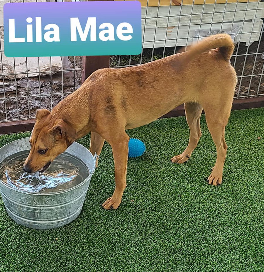 Lila Mae