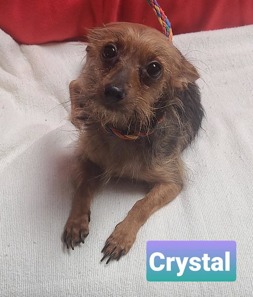 Crystal