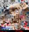 Bosley