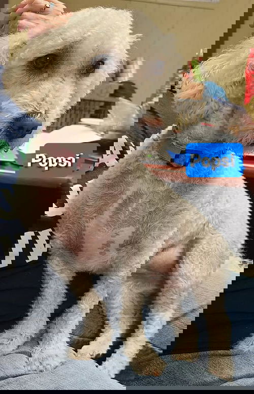 Popsi