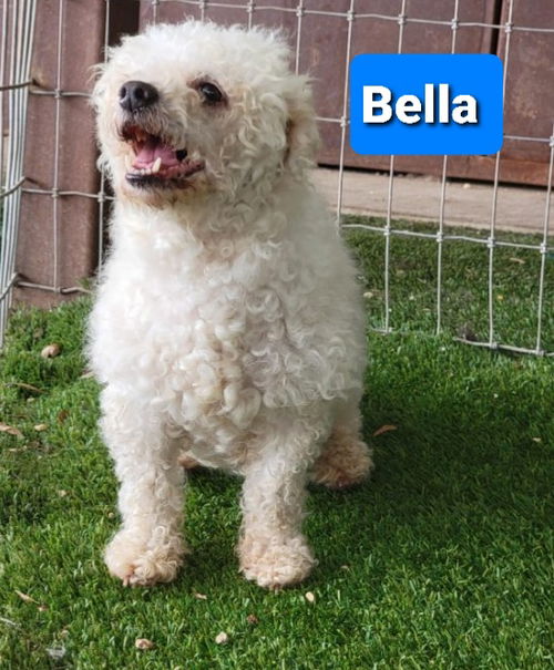Bella