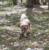 Charlie