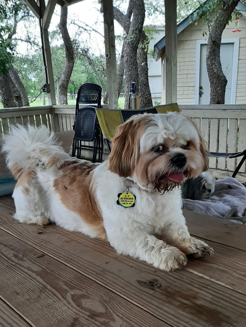 Charlie
