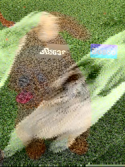 Bosco