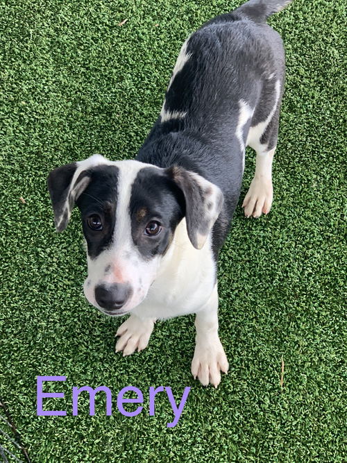 Emery