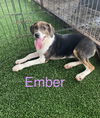 Ember