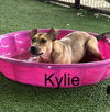Kylie