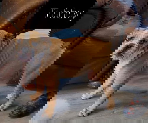 Tubby