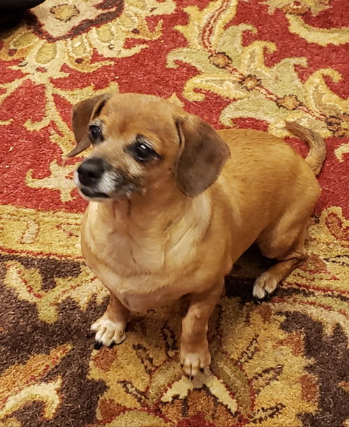 Chiquita