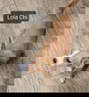 Lola Chi