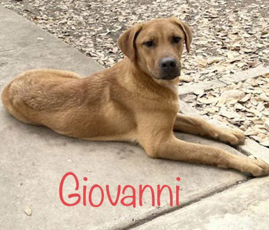 Giovanni