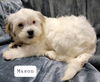Mason