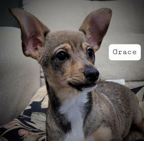 Grace