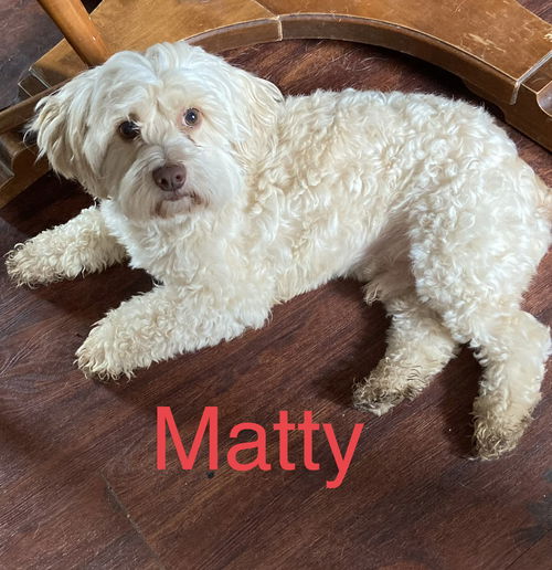 Matty