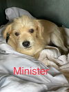 Minister